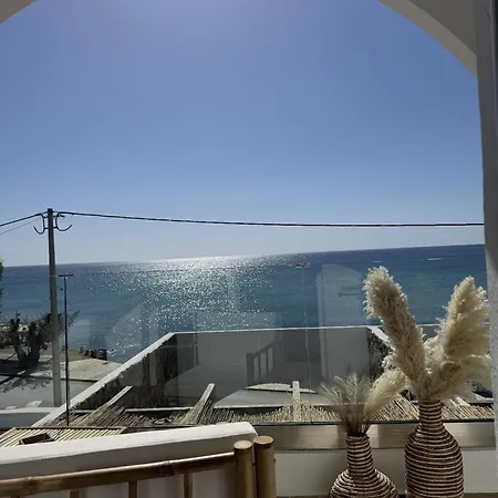 Delfini Pearl Stegna